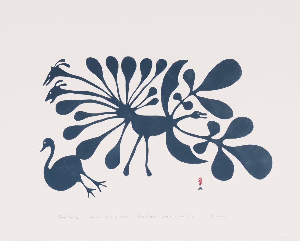 KENOJUAK ASHEVAK, C.C., R.C.A., INUIT, Bird Fantasy, 1960 #15 (1 of 1)