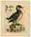 item-121131705=3