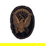 [CIVIL WAR] Officer's Hardee Hat Insignia