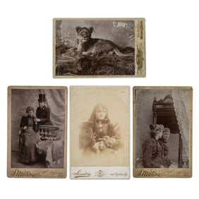 [EARLY PHOTOGRAPHY] (4) Exotic Cats and Artistic Poses