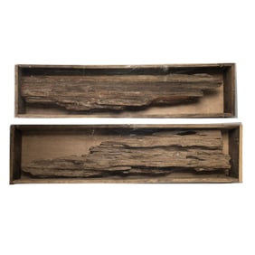 [CIVIL WAR] (2) Large Bullet Struck Wood Relics
