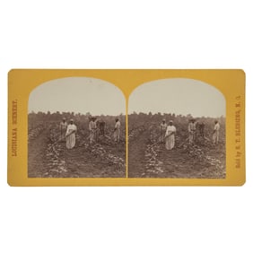 [SLAVERY] "Cotton in May" Blessing Stereoview
