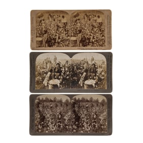 [RECONSTRUCTION] Black Cotton Workers, (3) Stereoviews