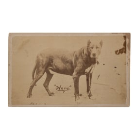 [CIVIL WAR] CDV of Libby Guard Dog "Hero"