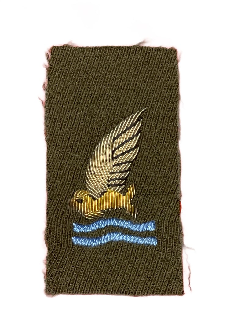 WWII AAF Bullion Goldfish Badge (1 of 2)