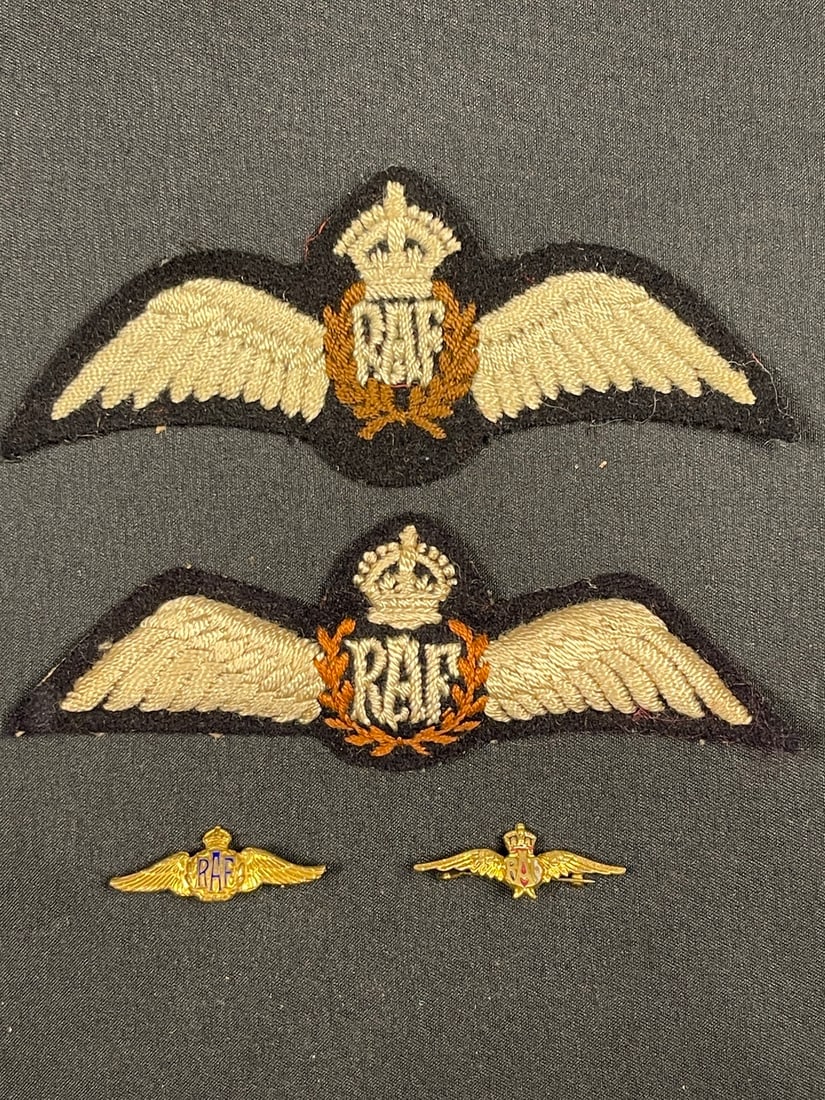WWII RAF Pilot's Wing Group (1 of 2)