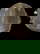 item-204406826=4