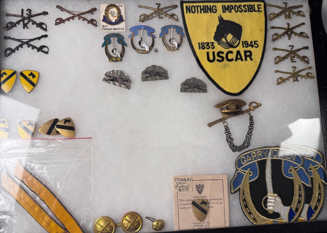 Extensive US Cavalry and Armored Reconnaissance Insignia Collection (1 of 4)