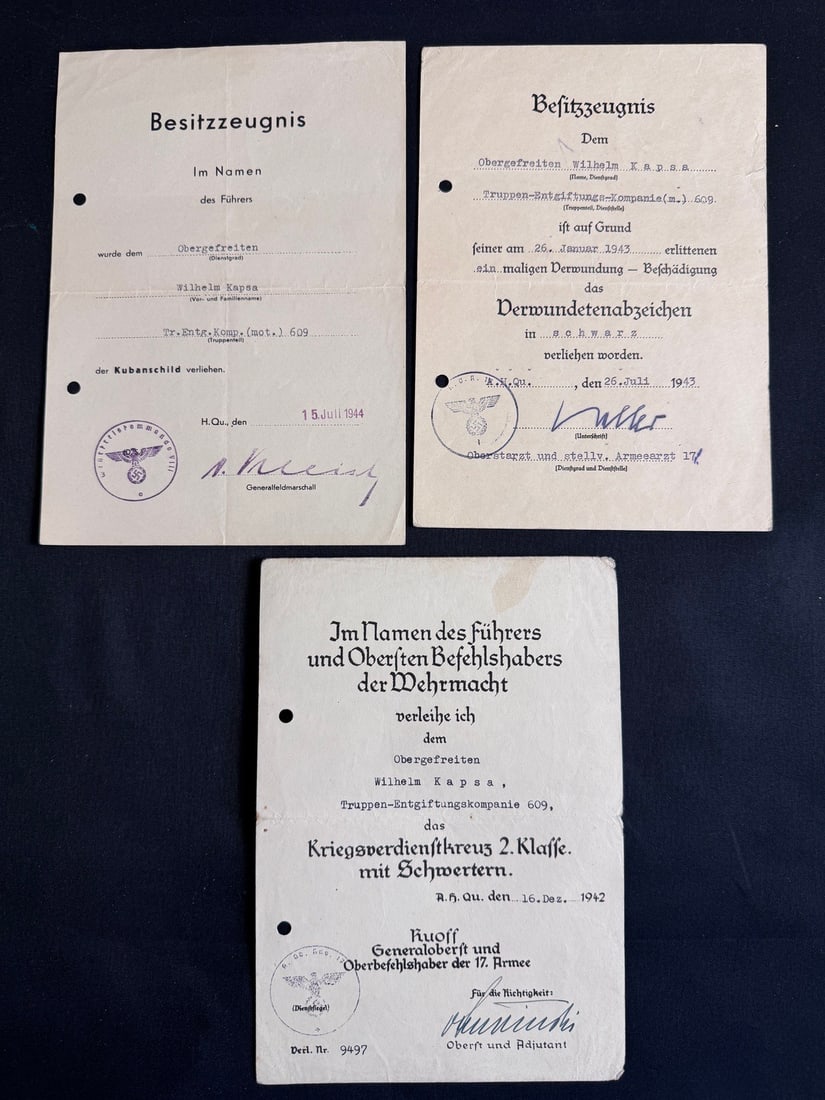 Rare German WWII Eastern Front Decontamination Unit Document Grouping for Wilhelm Kapsa (1 of 5)