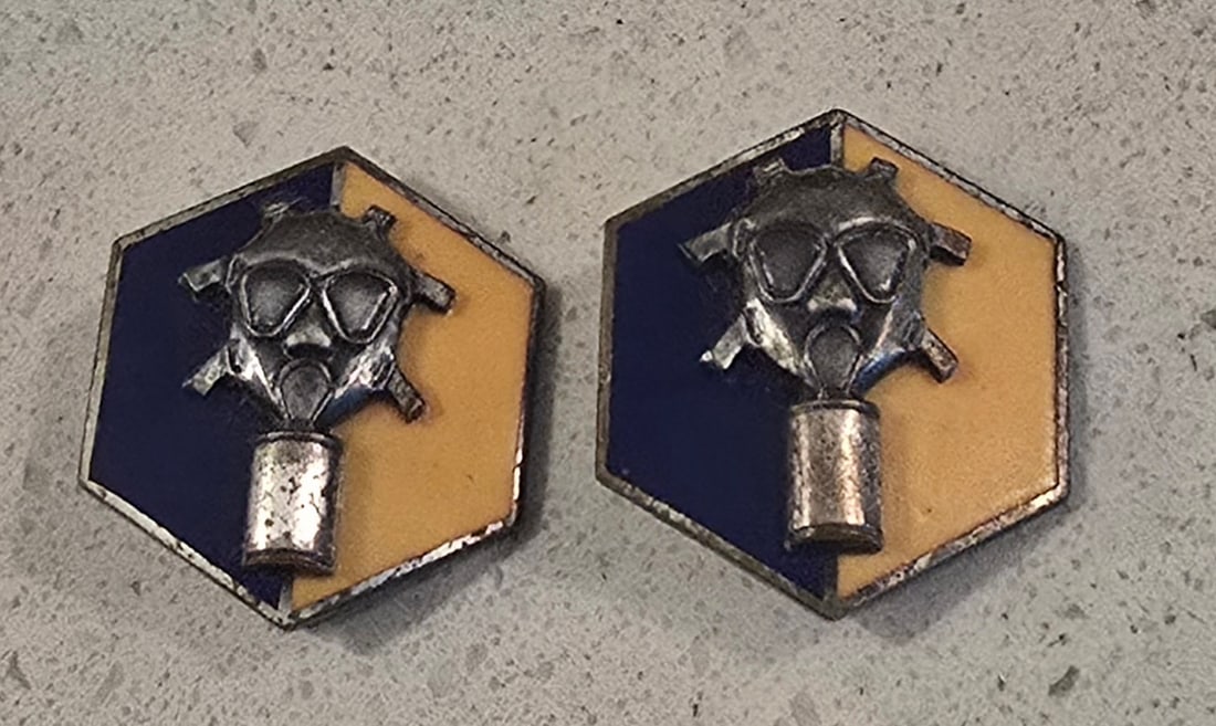 WWII Chemical Corp Replacement Training DIs pair Robbins: As shown