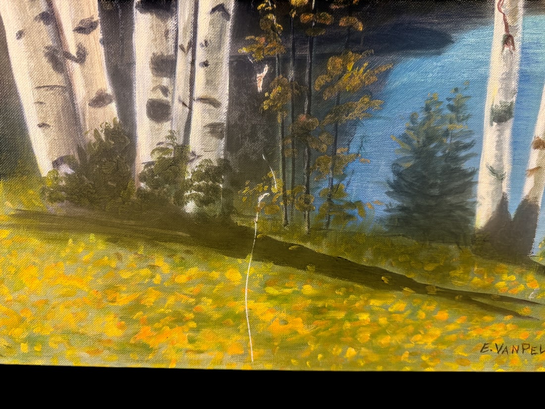 Signed E. Van Pelt Autumn Birch Landscape - 3