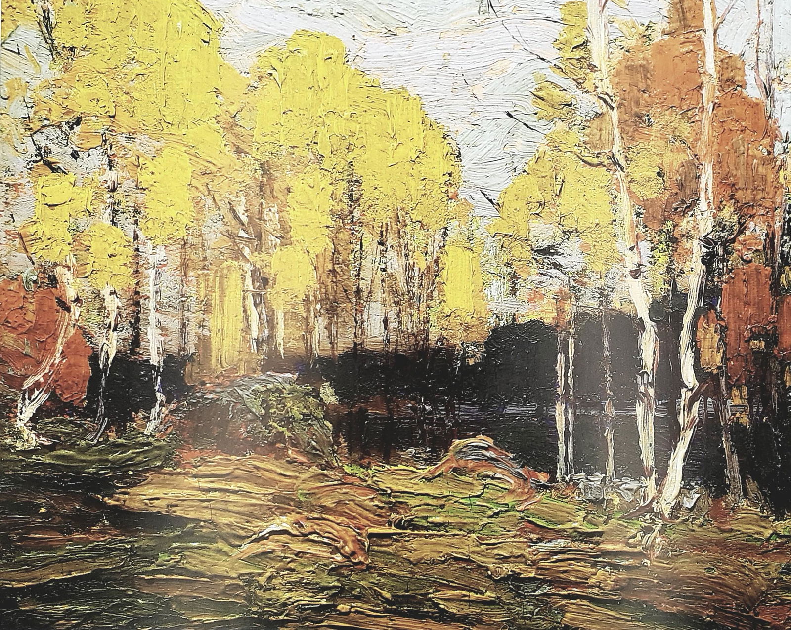 Tom Thomson - 3 lithographs - Hand signed: 3 beautiful lithographs by the artist Tom Thomson, numbered (52/275, 25/275 and 91/275 respectively). Hand-signed by the artist. Black Spruce in Autumn, Winter Woods and Fall Woods. Title written by t