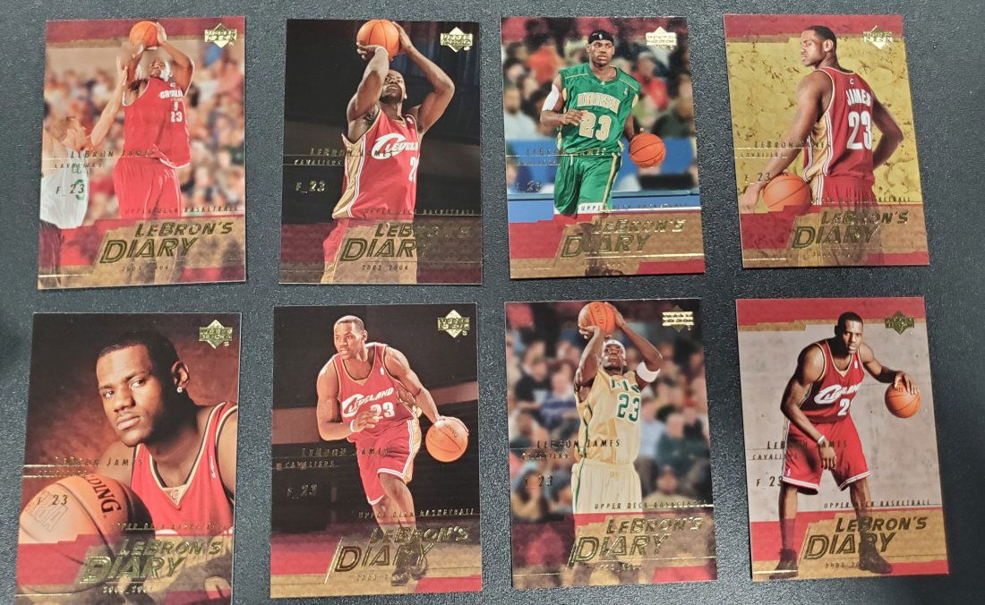 2003-04 Upper Deck LeBron's Diary 8 different ones (1 of 1)