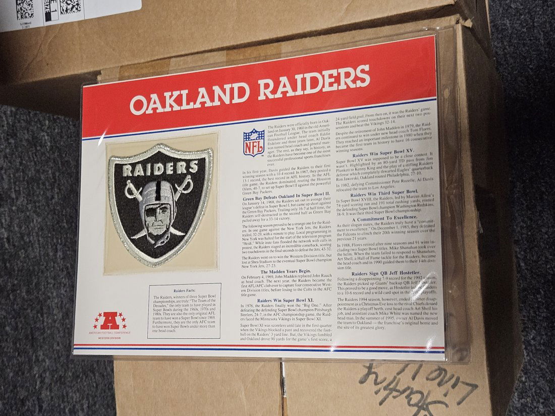 Oakland Raiders Team Patch (1 of 1)