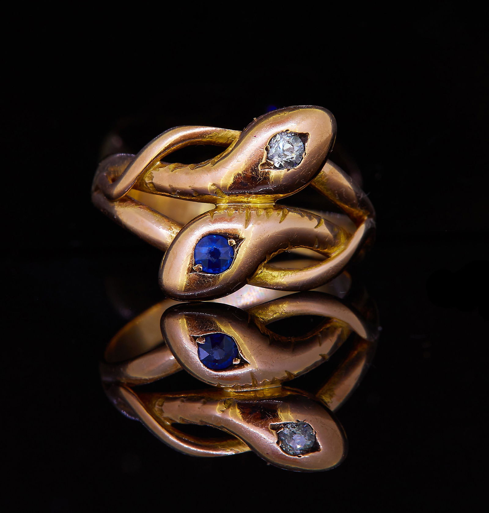 ANTIQUE DOUBLE SNAKE RING (1 of 1)