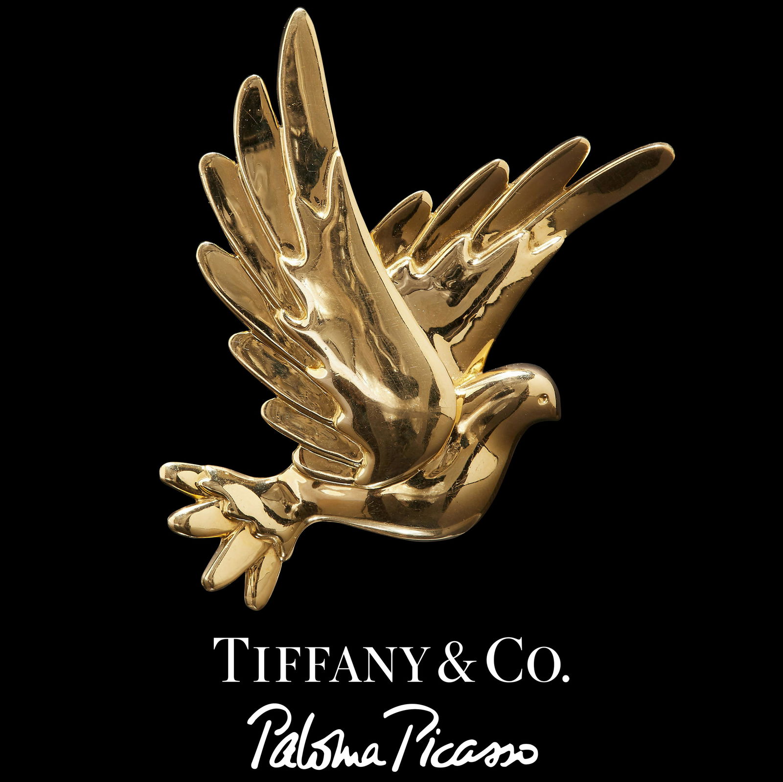 PALOMA PICASSO FOR TIFFANY & CO, DOVE BROOCH (1 of 3)