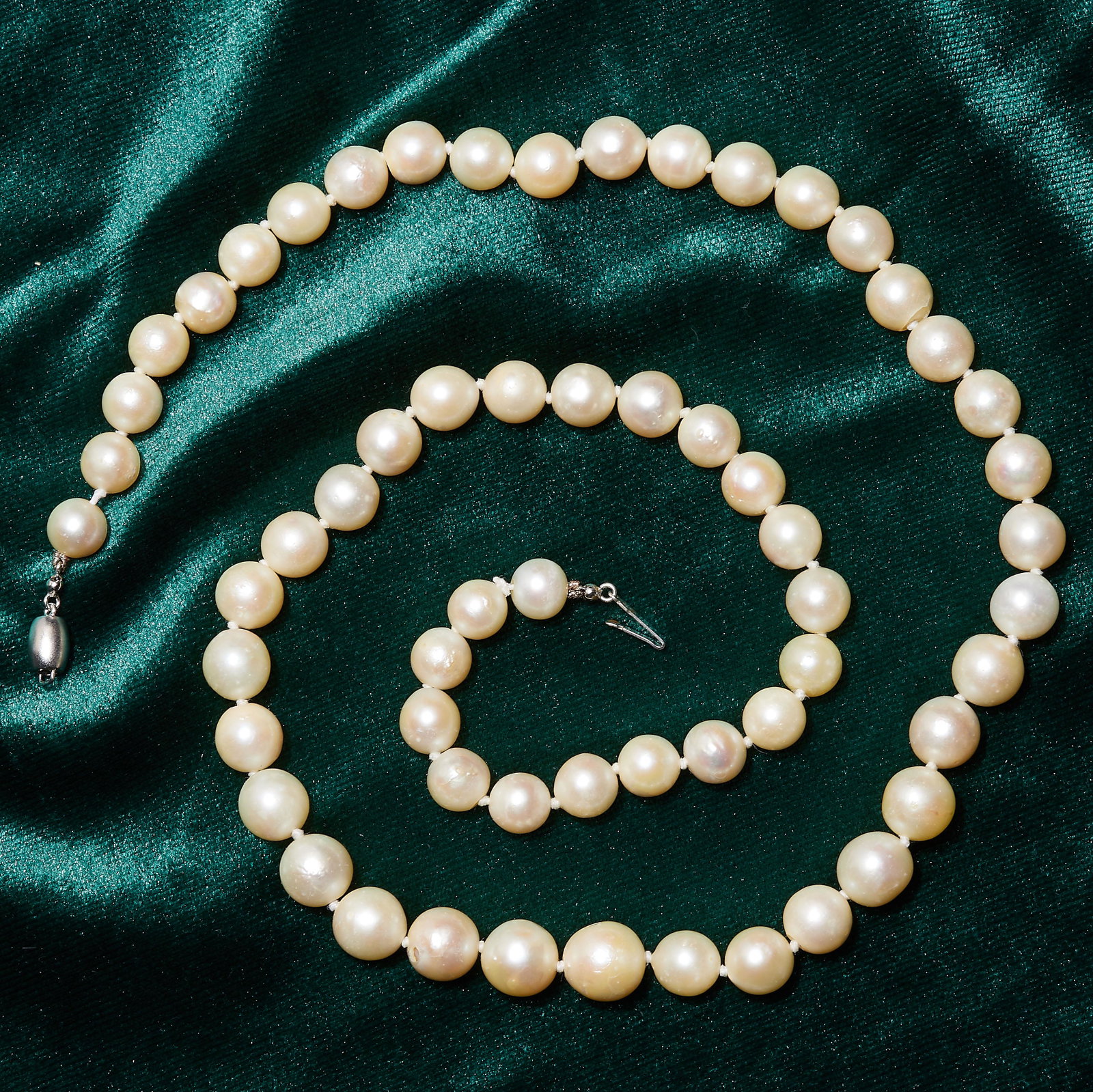 SINGLE STRAND SOUTH SEA PEARL NECKLACE: SINGLE STRAND SOUTH SEA PEARL NECKLACE. stamped 585 on the clasp. The graduated i size pearl ranging from approx. 10.9 - 8.22 mm. L 60 cm. 65.6 grams.