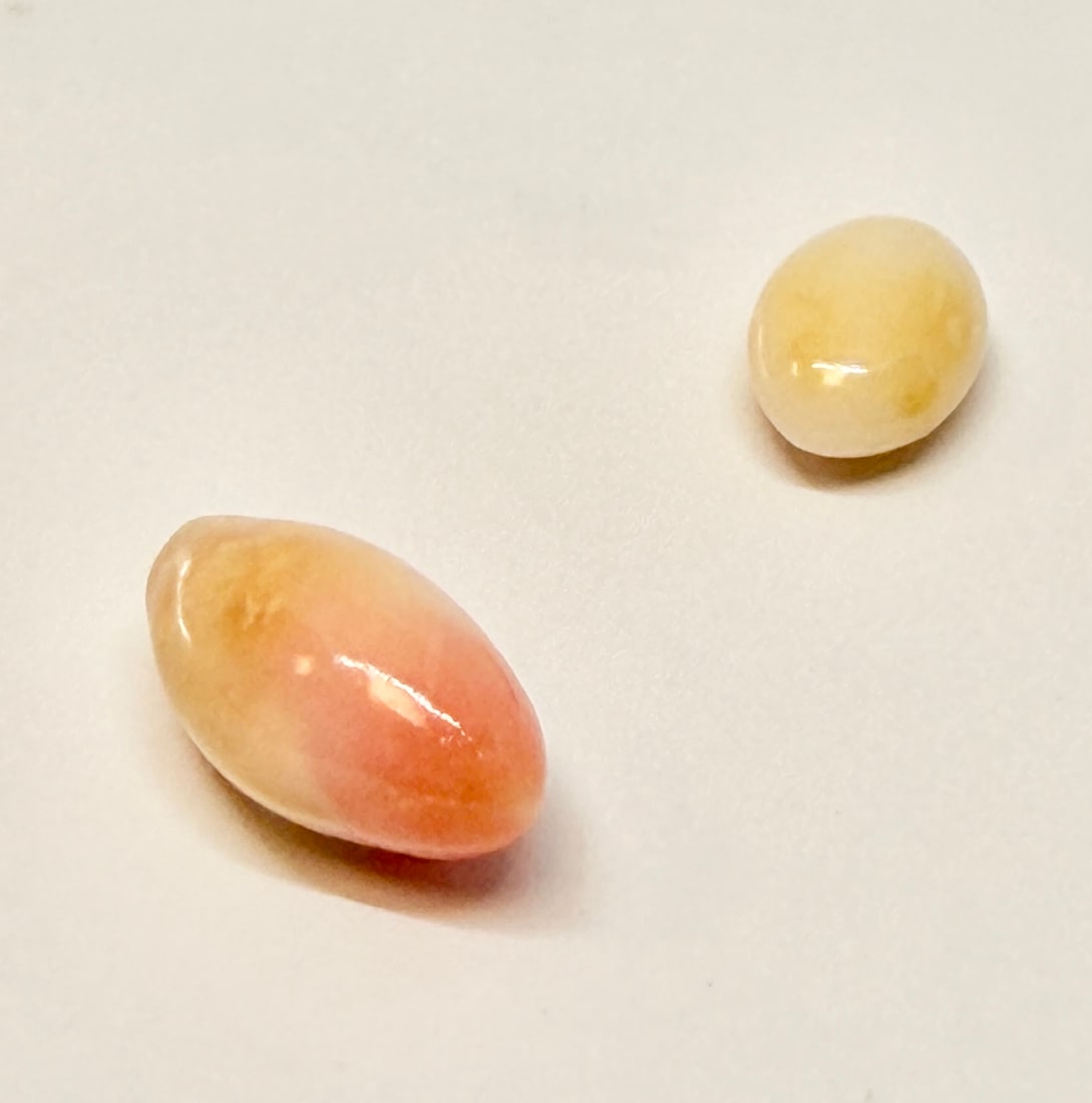 2 RARE LOOSE CONCH PEARLS (1 of 1)