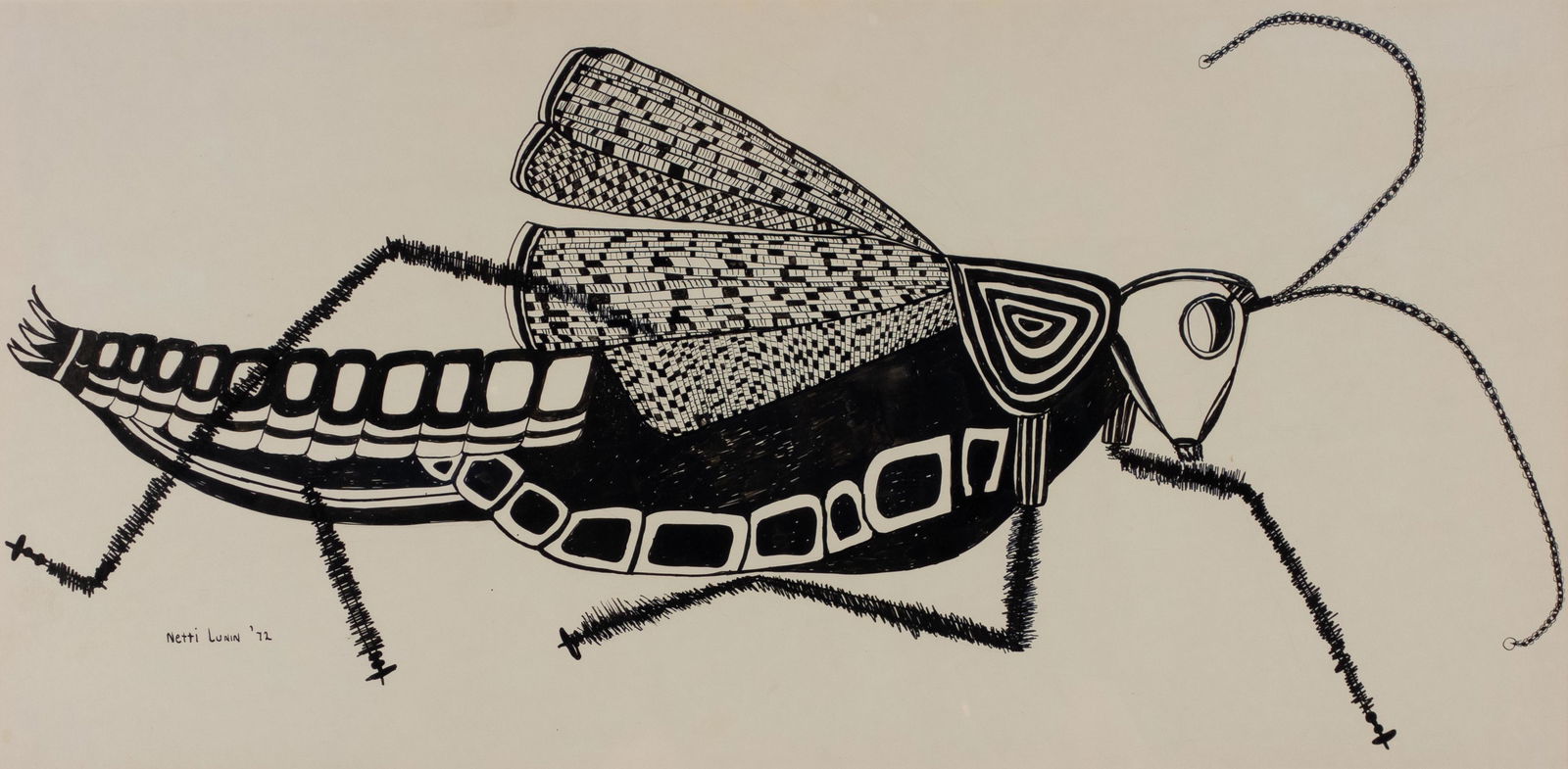 Nettie Lunin, "Grasshopper": Nettie Lunin, pen and ink on paper, intricated rendering of a grasshopper. 13" x 26" image, 20.5" x 34" frame.