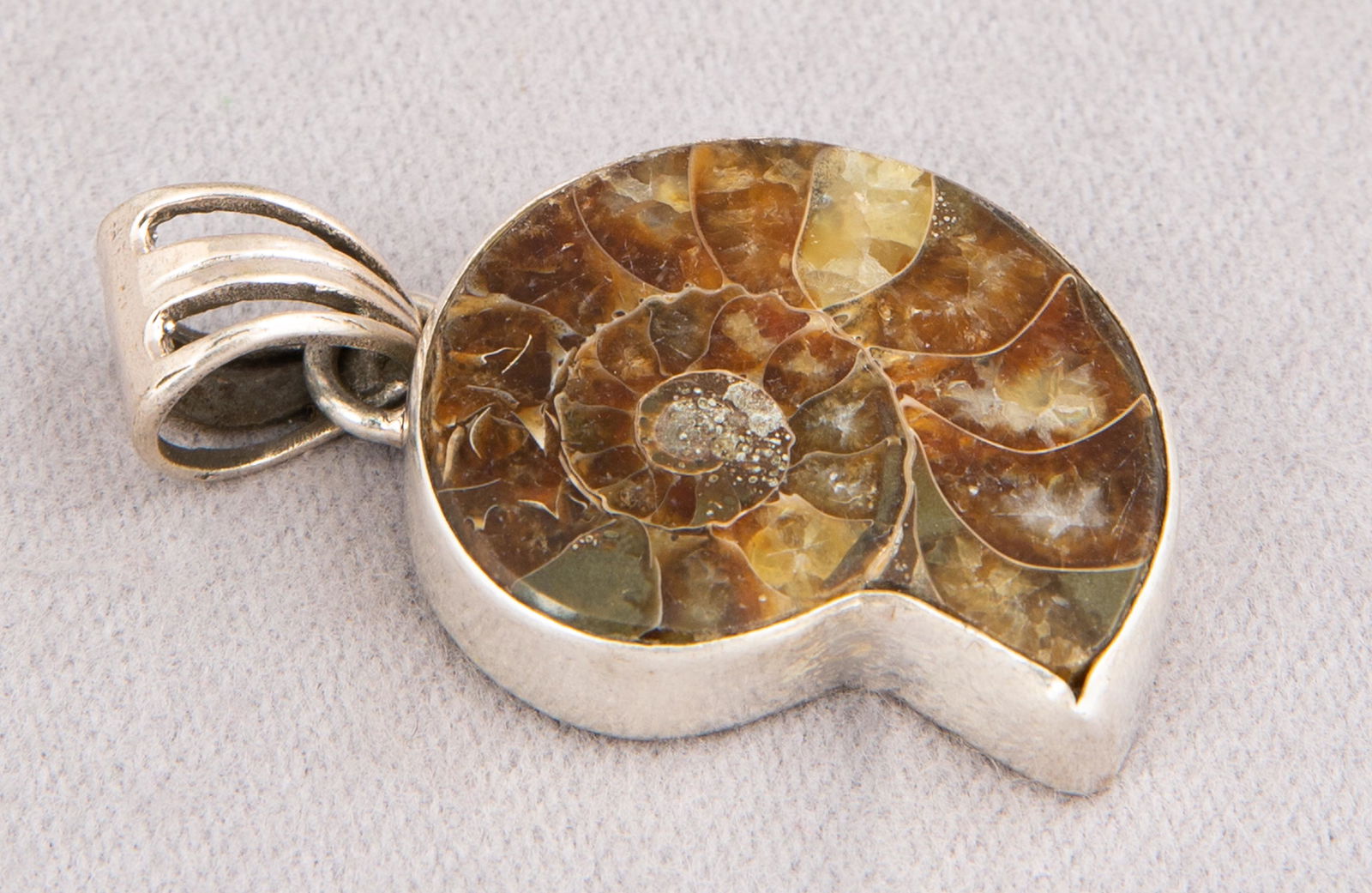 Fossilized Nautiloid and Sterling Pendant (1 of 3)