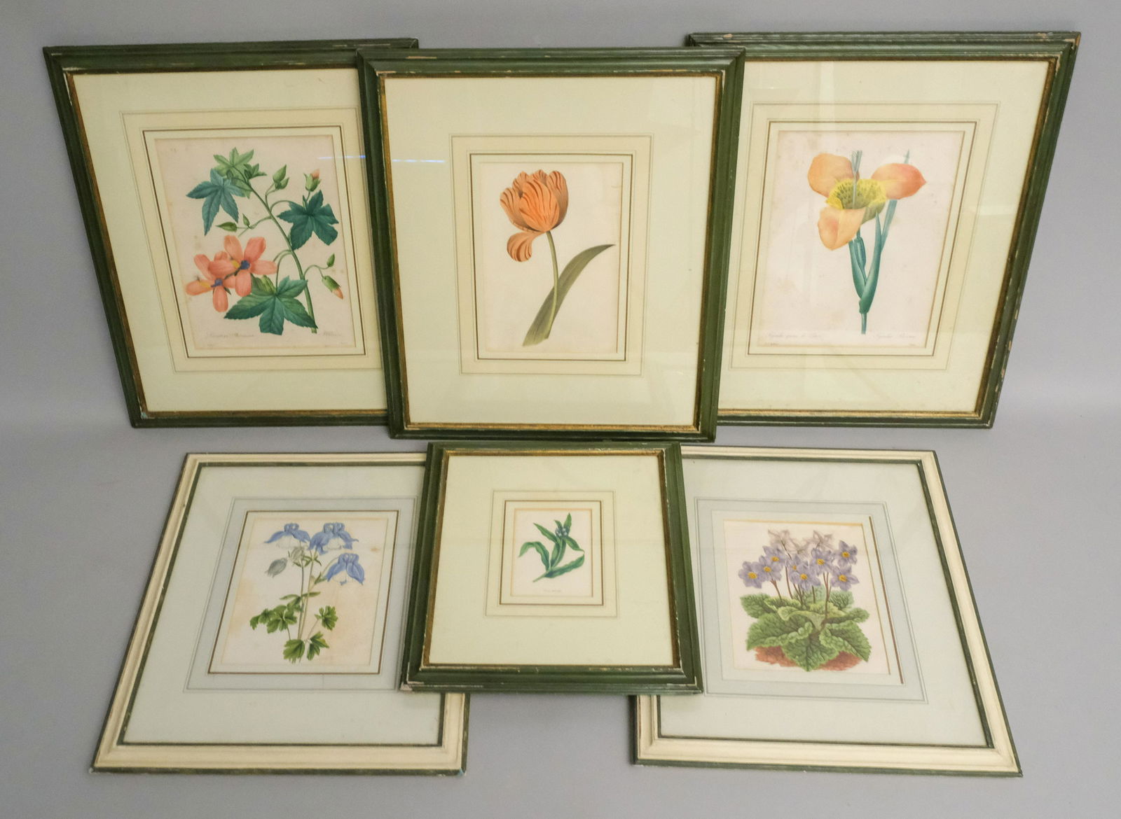 Group of Six 19th Century Botanicals (1 of 4)