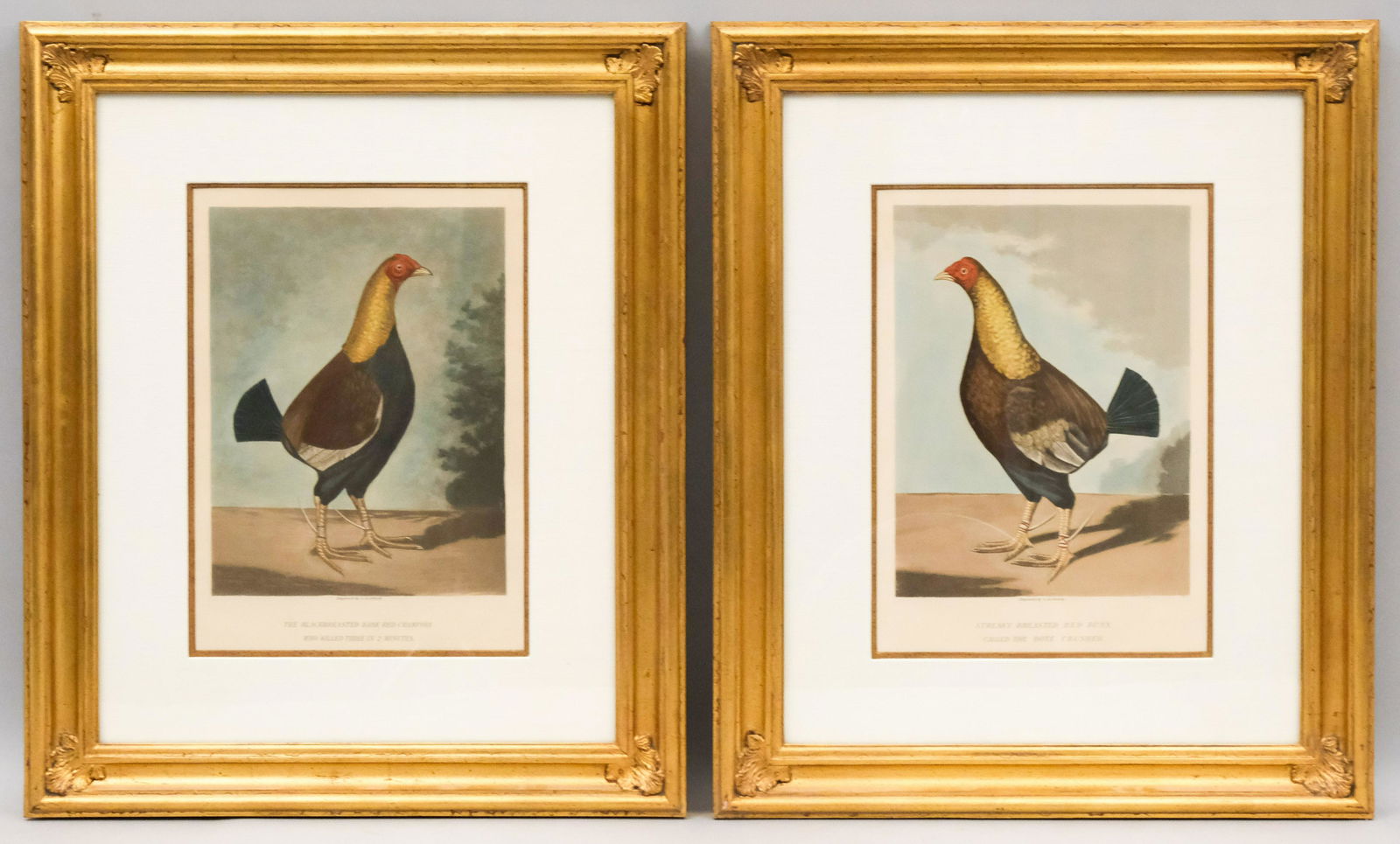 Pair of Hand Colored Engravings, Gamecocks (1 of 6)