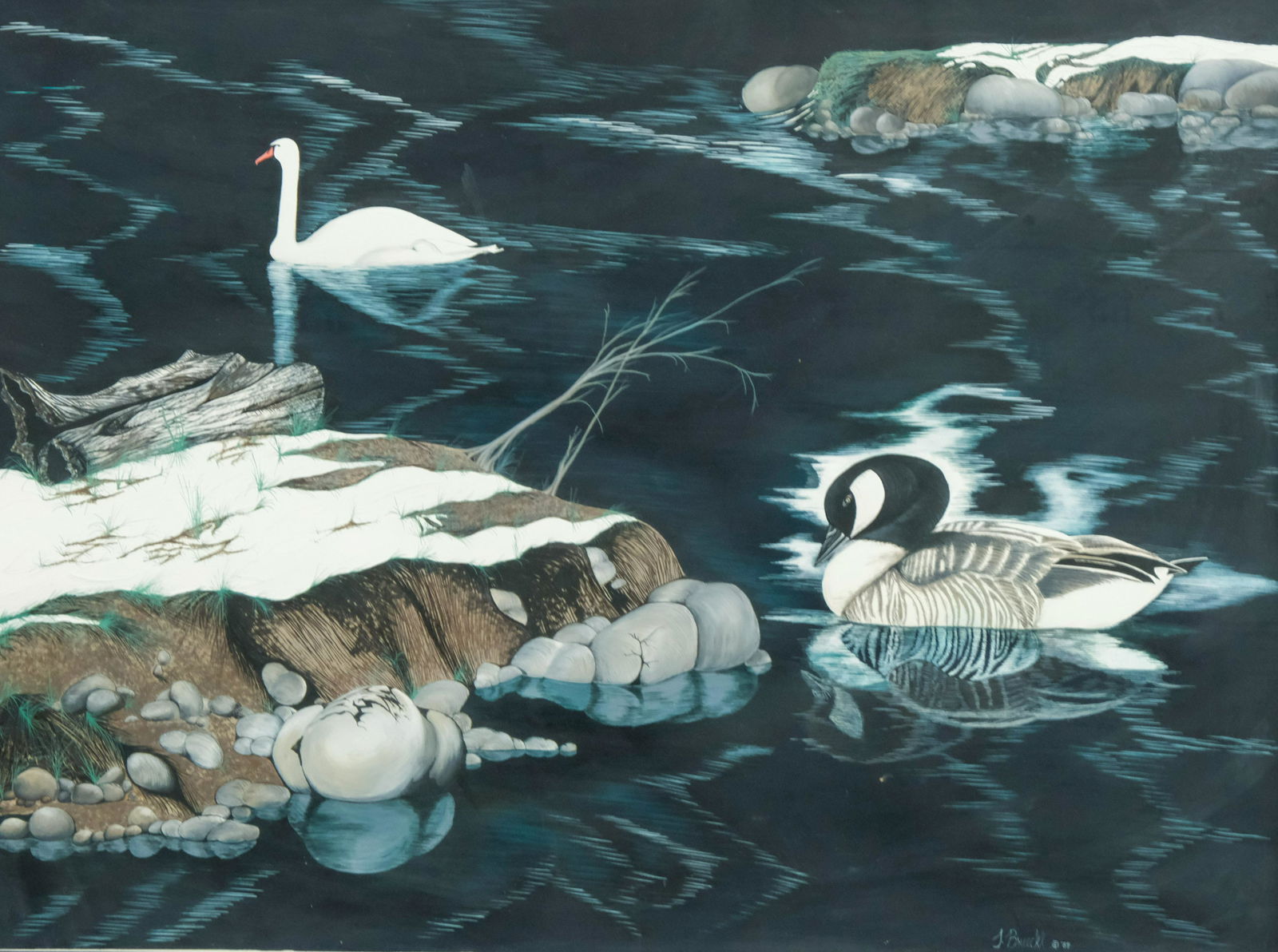 J. Brueckl, Gouache of Waterfowl (1 of 6)