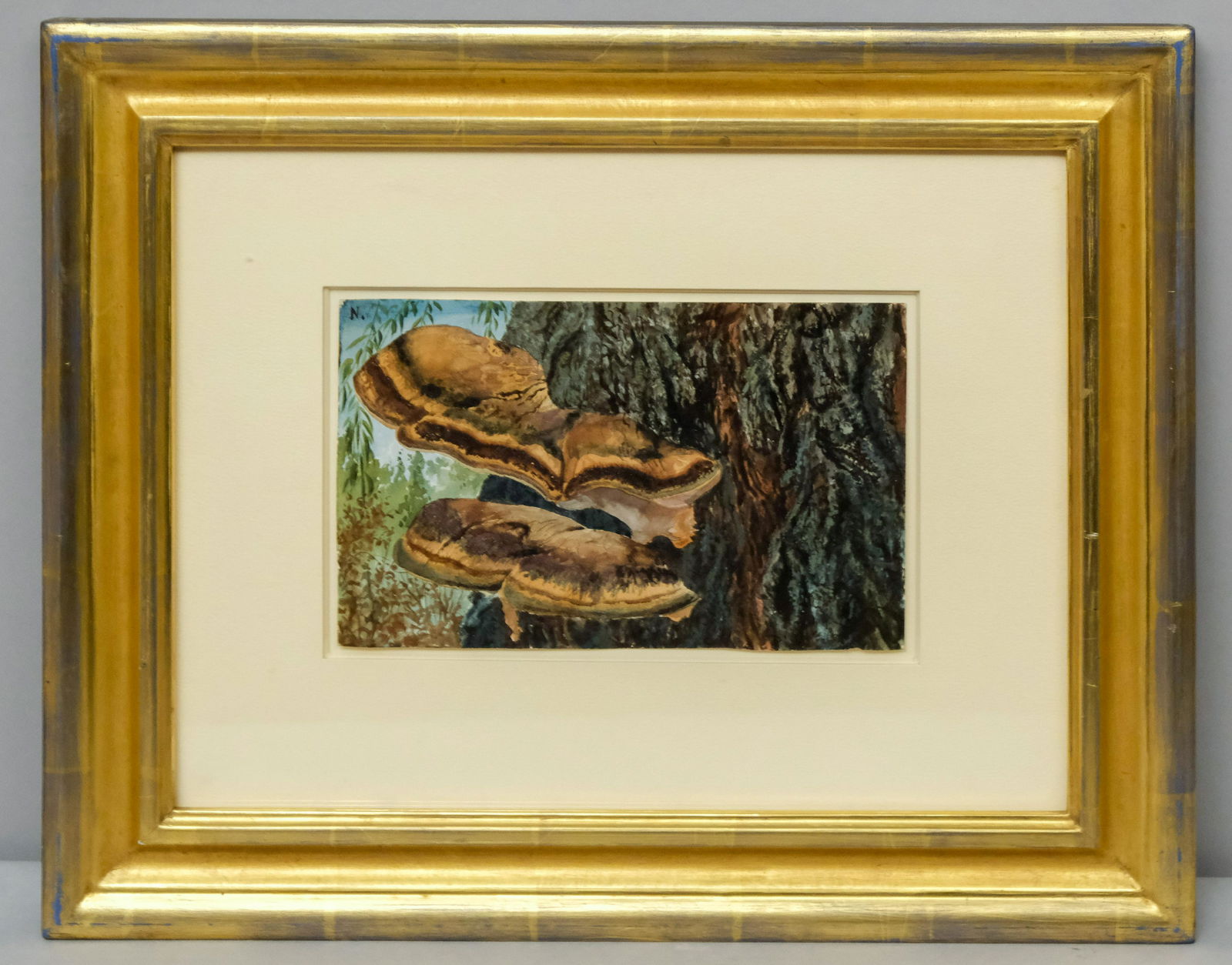 Charles De Wolf Brownell, Fungus on a Tree Trunk (1 of 3)