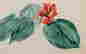 item-112057042=2