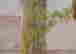 item-112057044=4