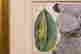 item-112057045=3