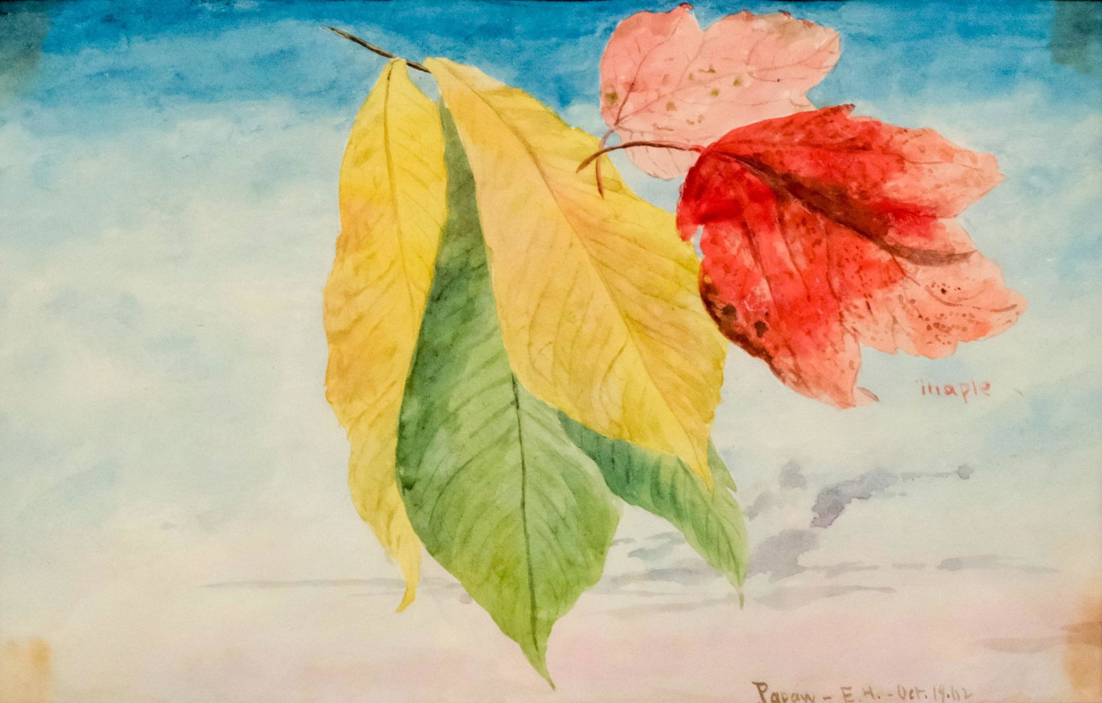 Charles De Wolf Brownell, Autumn Leaves (1 of 4)