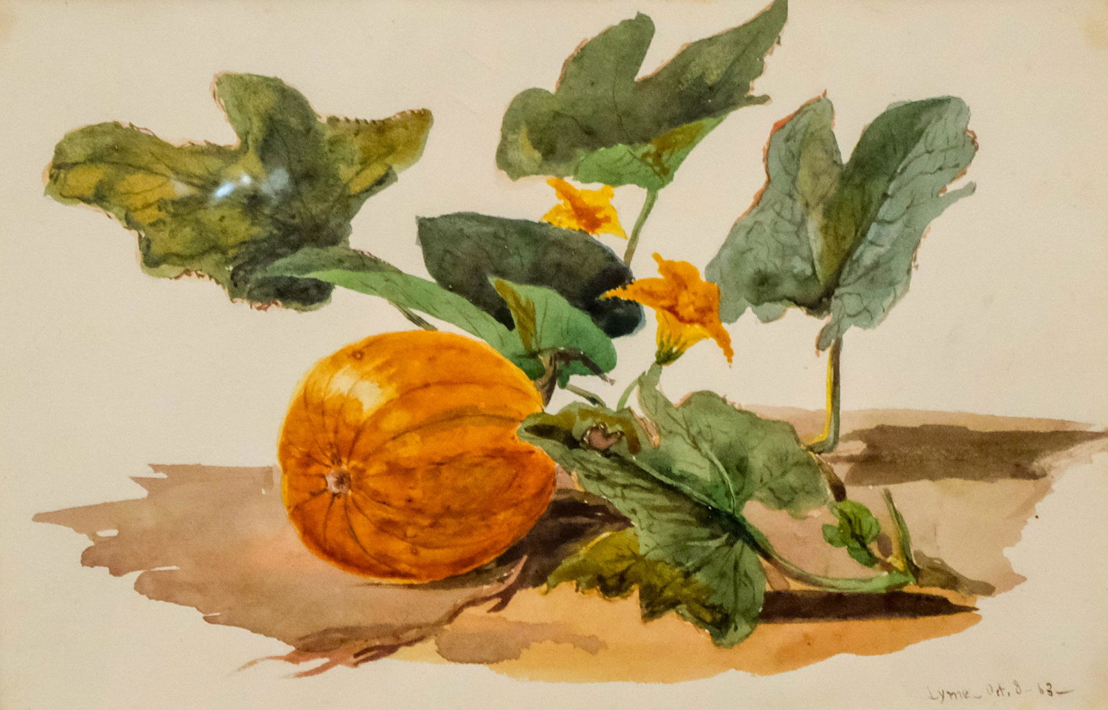 Charles de Wolf Brownell, Pumpkin on the Vine (1 of 5)