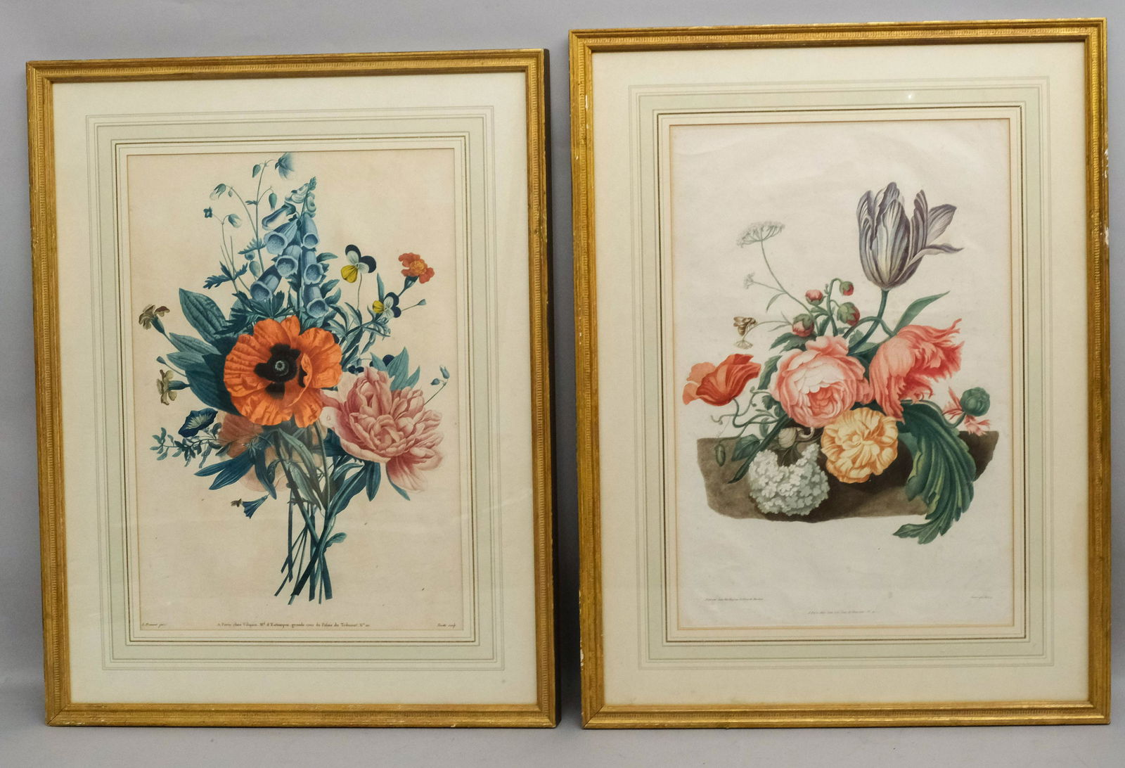 Pair of 18th Century French Botanicals (1 of 3)
