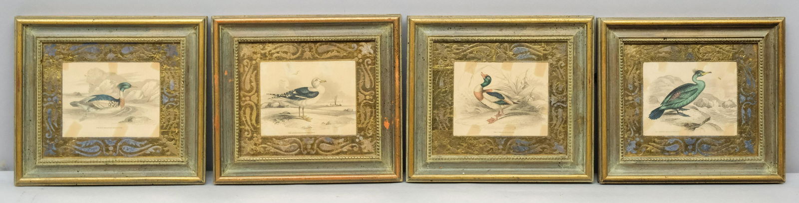 Group of Four Hand Colored Prints, Waterfowl (1 of 6)