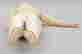 item-112057567=7
