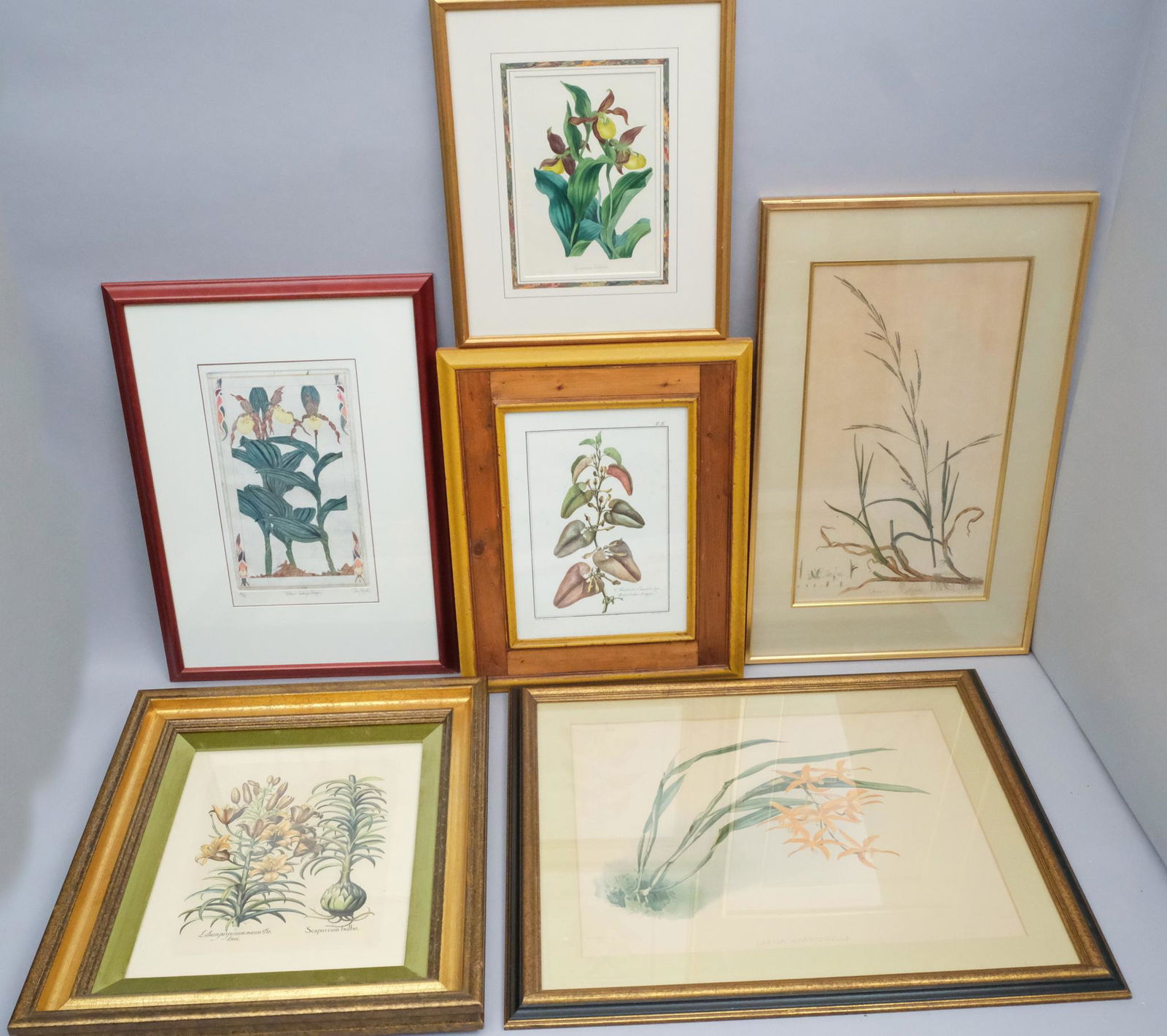 Large Group of 18/19/20th Century Botanicals (1 of 5)
