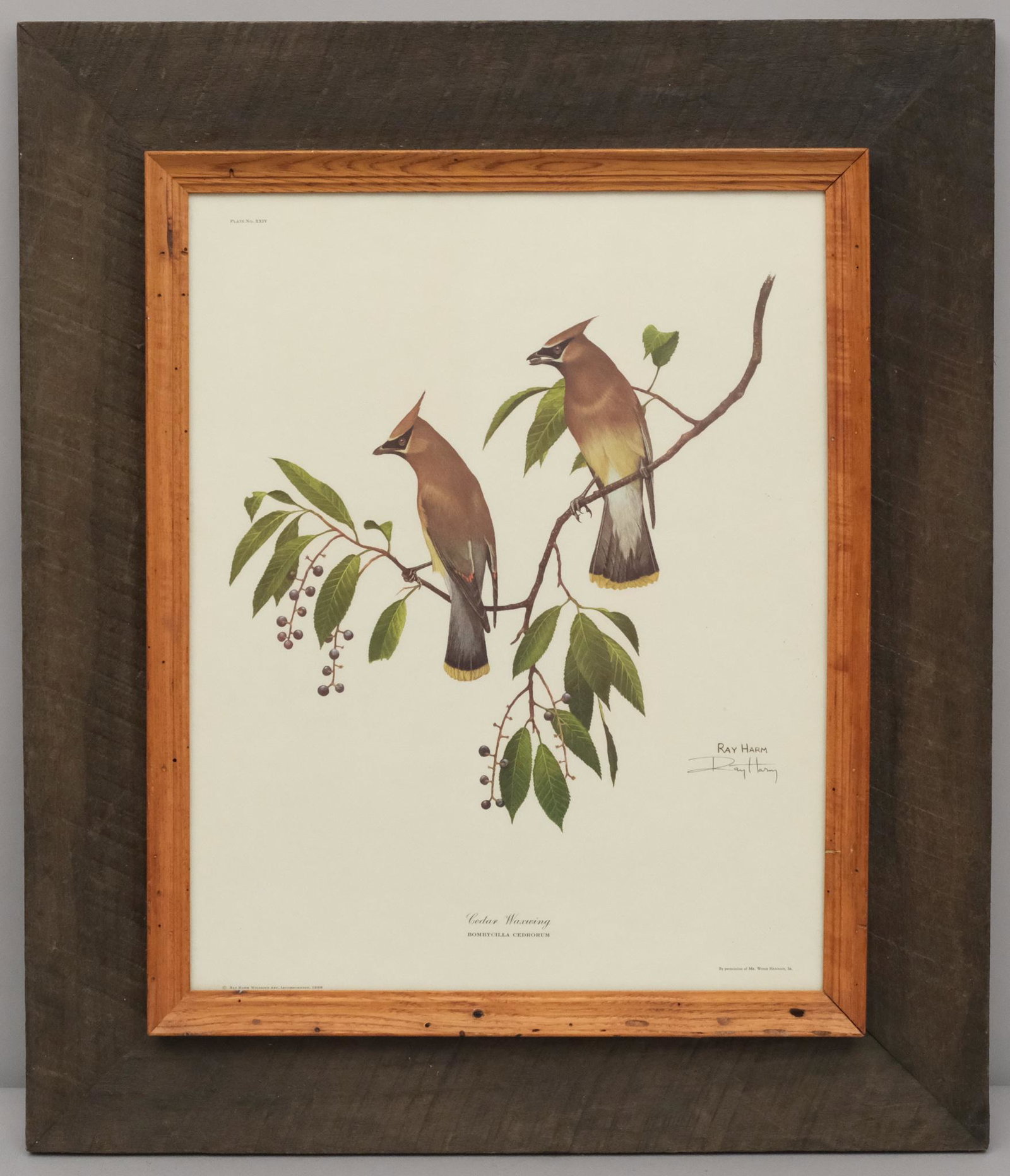 American Modernist Frame: American, ca. 1960, together with Ray Harm bird print. Rabbet: 16" x 20" Overall Dimensions: 24" x 28" Molding Width: 4".