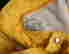 item-119990151=17