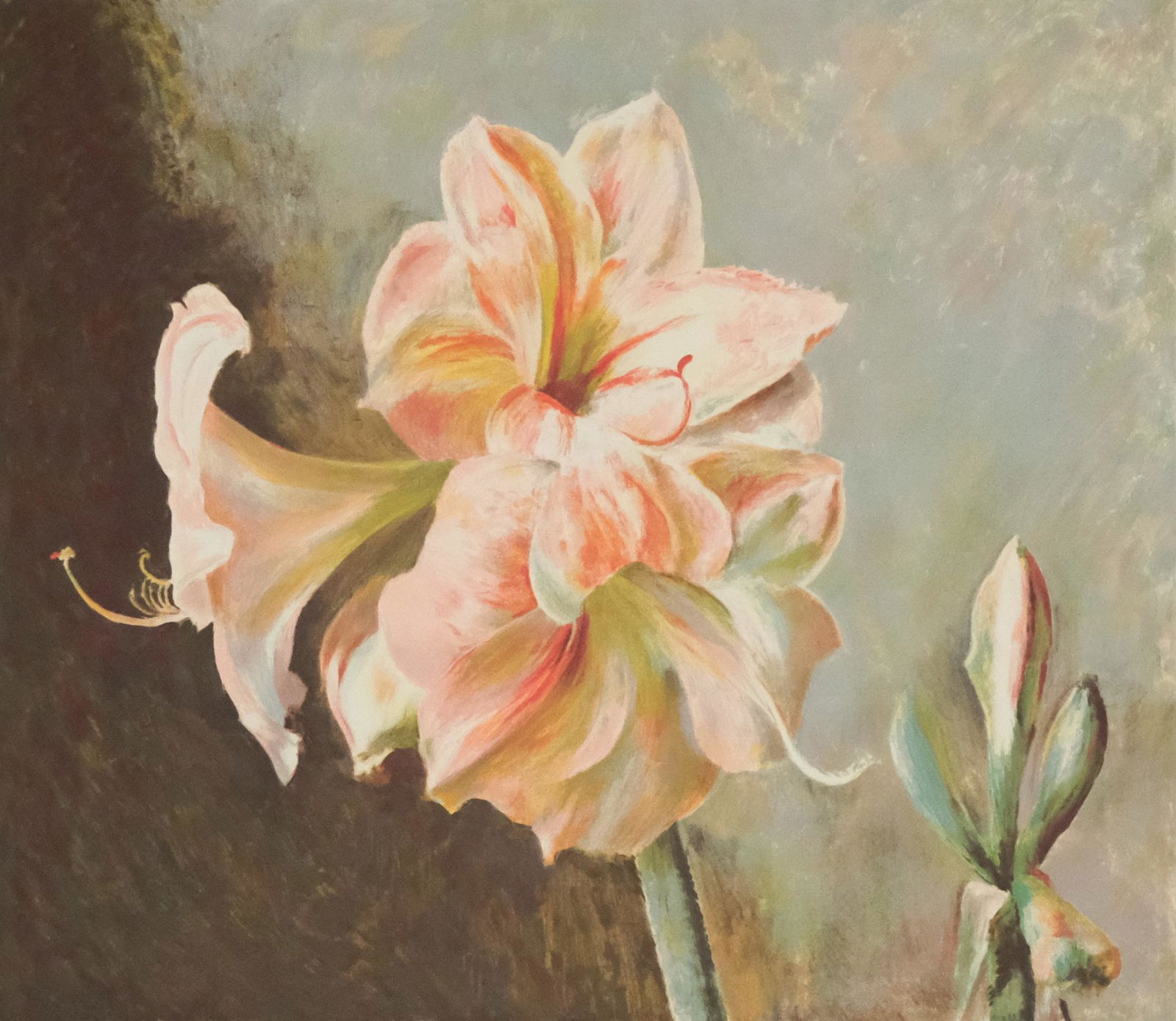 Henrietta (Hurd) Wyeth, Pink Amaryllis (1 of 3)