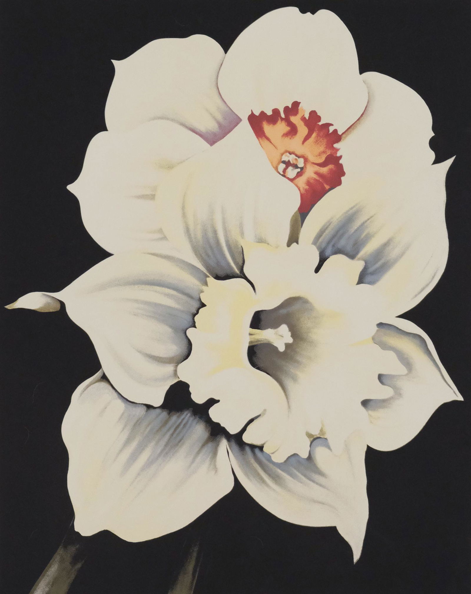 Lowell Blair Nesbitt, Daffodils (1 of 3)