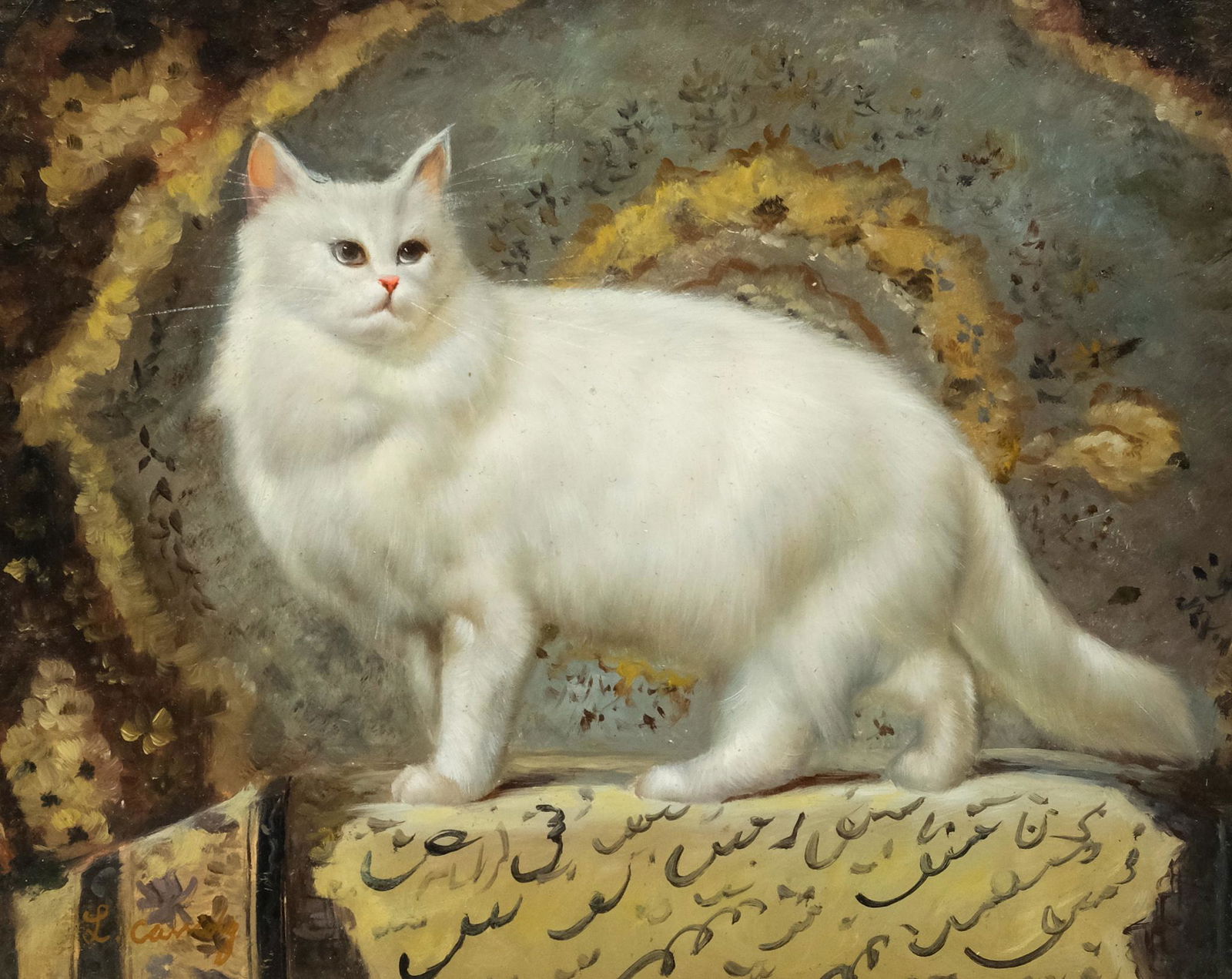 Laura Cassidy, White Long-haired Cat (1 of 5)