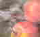 item-129123708=3