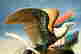item-129123710=3