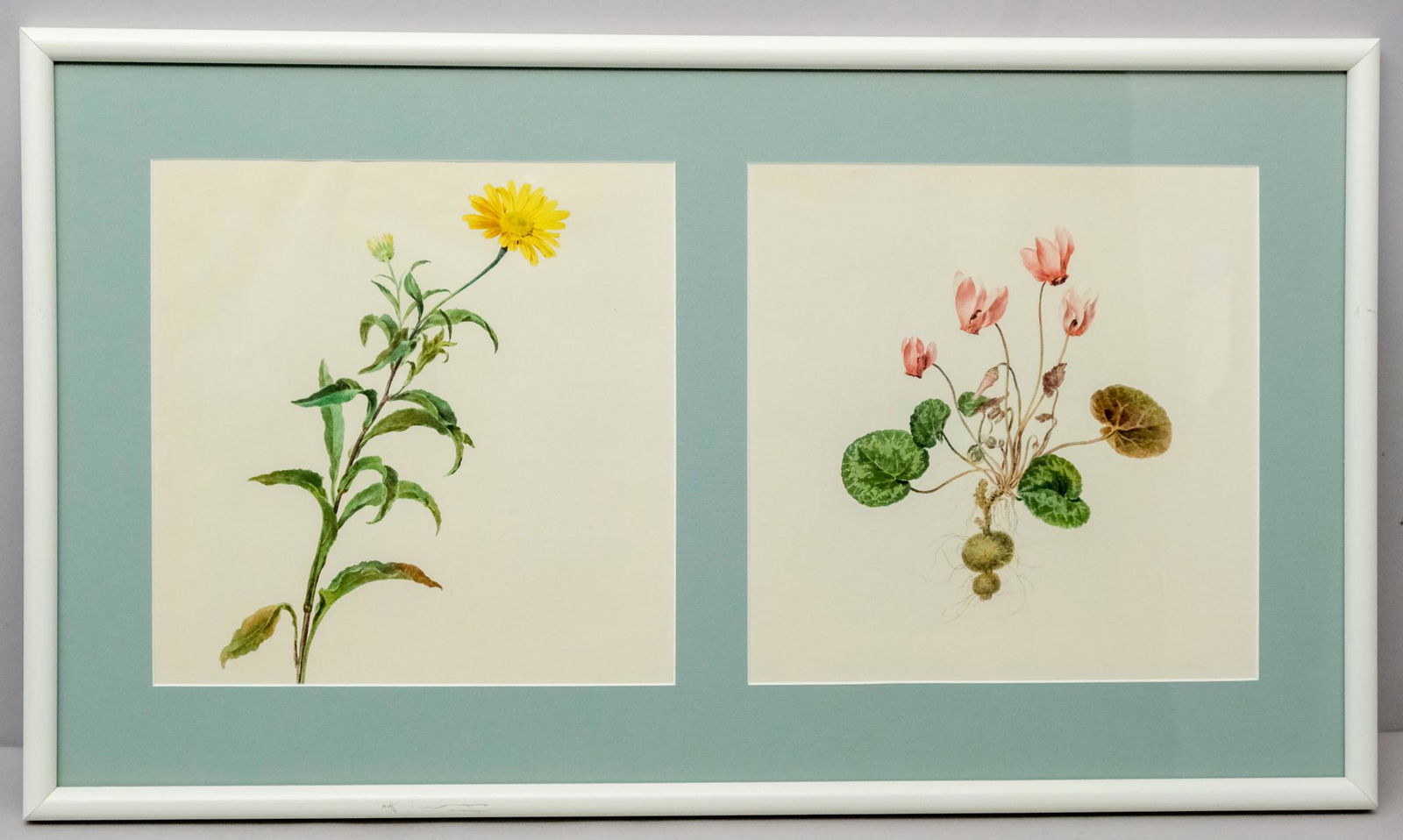 7 Framed Botanical & Agricultural Studies (1 of 6)