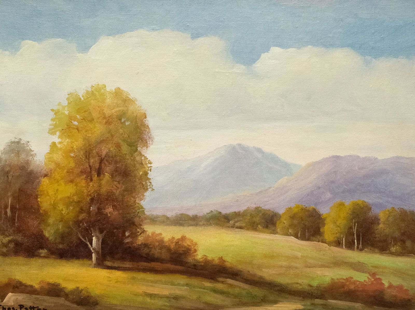 Thomas Patten, Landscape (1 of 8)