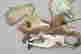 item-129124371=3