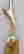 item-129124775=4
