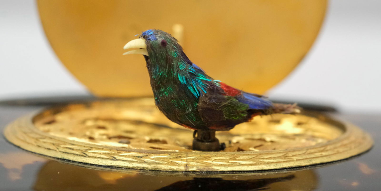 Antique French Automaton Bird Music Box (1 of 11)