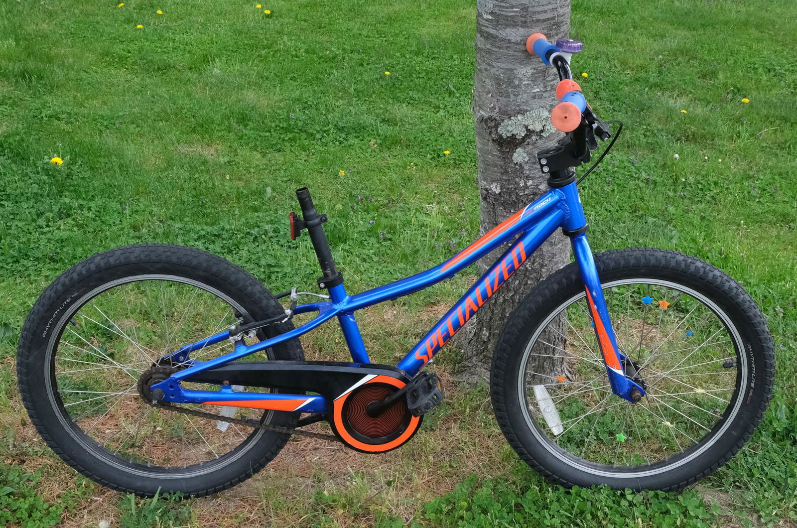 Specialized RipRock Children's Bicycle (1 of 9)